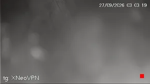Caméra IP - IT