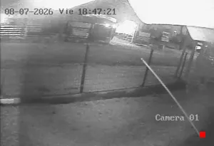 Caméra IP - UY