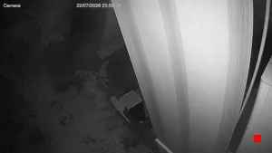 Caméra IP - IT