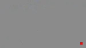 Caméra IP - VN