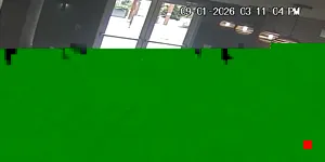 Caméra IP - US