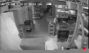 Caméra IP - ES