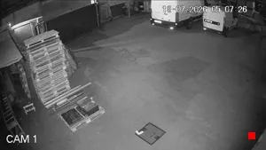 Caméra IP - IT