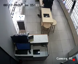Caméra IP - IN