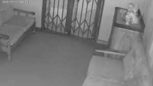 Caméra IP - ZA