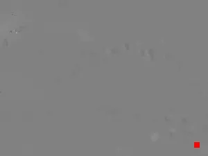 Caméra IP - IR
