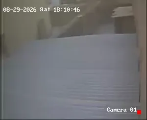 Caméra IP - IR