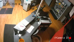 Caméra IP - US