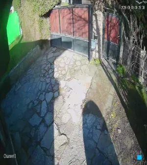 Caméra IP - Vue en direct
