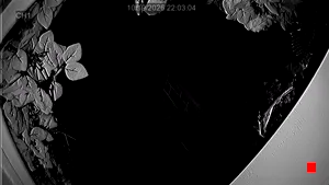 Caméra IP - US