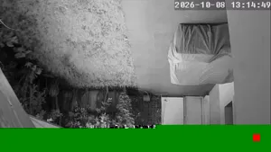 Caméra IP - MA