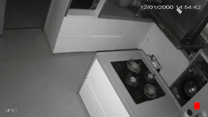 Caméra IP - IN