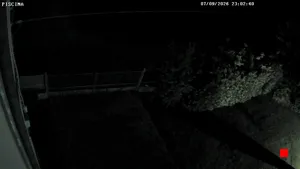 Caméra IP - IT