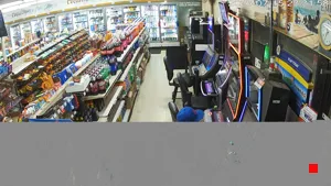 Caméra IP - US