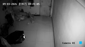 Caméra IP - CN