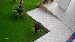 Caméra IP - BR