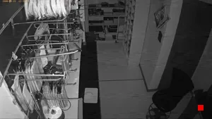 Caméra IP - IT