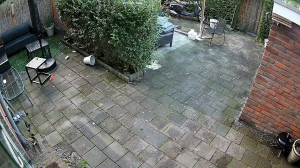 Caméra IP - NL