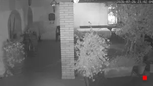 Caméra IP - IT