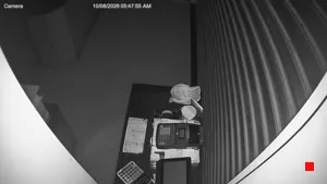 Caméra IP - IT