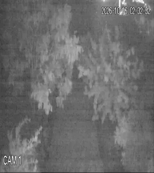 Caméra IP - IR