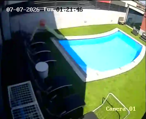 Caméra IP - PT