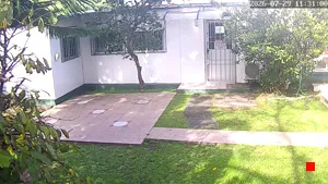 Caméra IP - UY