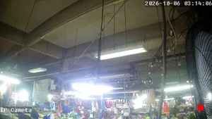 Caméra IP - TH