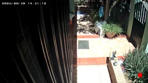 Caméra IP - ES