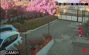 Caméra IP - IT