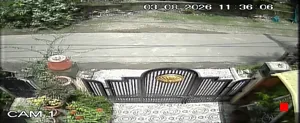 Caméra IP - IN