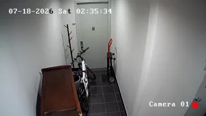Caméra IP - US