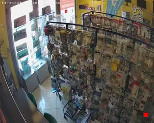 Caméra IP - IT