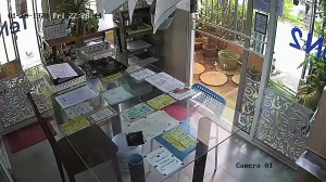 Caméra IP - TH