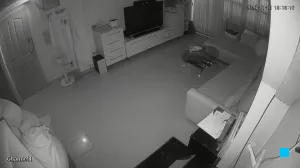 Caméra IP - TH