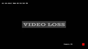 Caméra IP - US