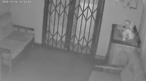 Caméra IP - ZA