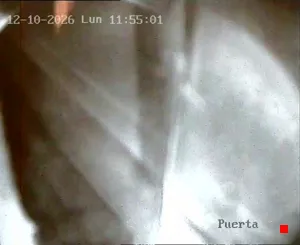 Caméra IP - AR