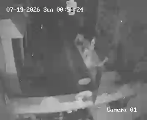 Caméra IP - IR