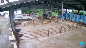 Caméra IP - KR
