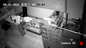 Caméra IP - CN