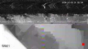 Caméra IP - IT