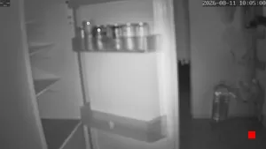 Caméra IP - ES