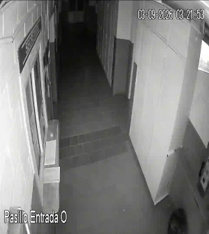 Caméra IP - AR