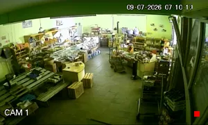 Caméra IP - IT