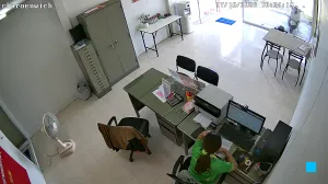 Caméra IP - TH