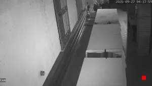 Caméra IP - IT