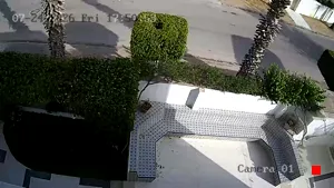 Caméra IP - TN