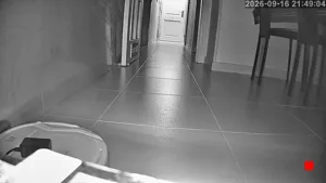Caméra IP - ES
