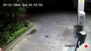 Caméra IP - IR